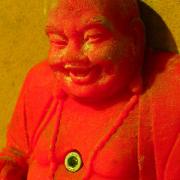DSCF4556
